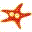 Starfish red