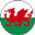 Wales Flag Micro Geocoin