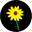 Black Eyed Susan Geocoin