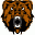 07799 Don't mess with a bear Geocoin Andean Bear Edition XLE 60