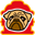 Pug Geocoin