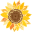 Sunflower Geocoin