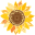 Sunflower&#160;Geocoin